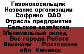 Газонокосильщик › Название организации ­ Софрино, ОАО › Отрасль предприятия ­ Сельское хозяйство › Минимальный оклад ­ 1 - Все города Работа » Вакансии   . Ростовская обл.,Каменск-Шахтинский г.